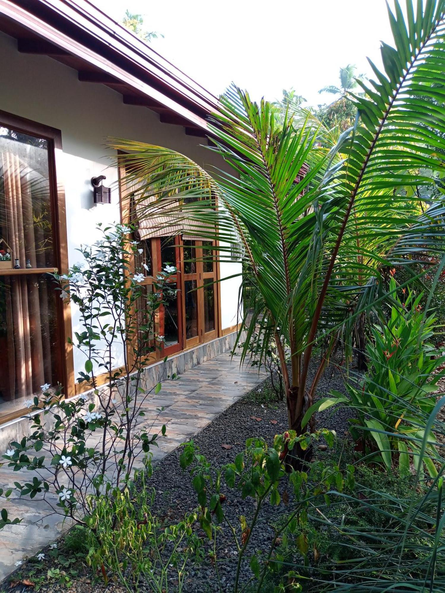 Luxury Villa With Bb Free Wi-Fi Bentota Exterior photo